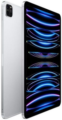 Refurbished iPad Pro 11-inch (2022) 4th Gen - Reebelo US