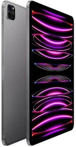 Refurbished iPad Pro 11-inch (2022) 4th Gen - Reebelo US