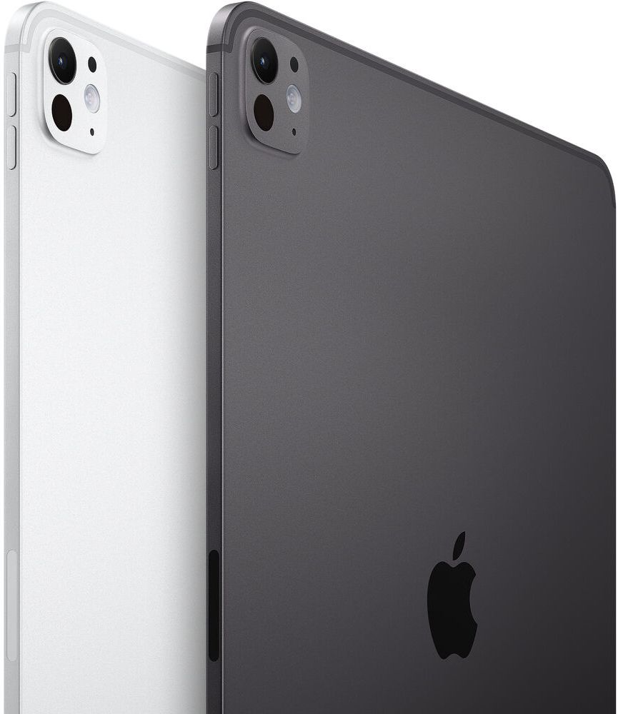 Refurbished iPad Pro 11-inch (2024) 5th Gen - Reebelo US