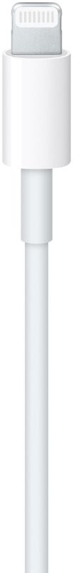 Apple USB C to Lightning Cable (1M) - Reebelo US