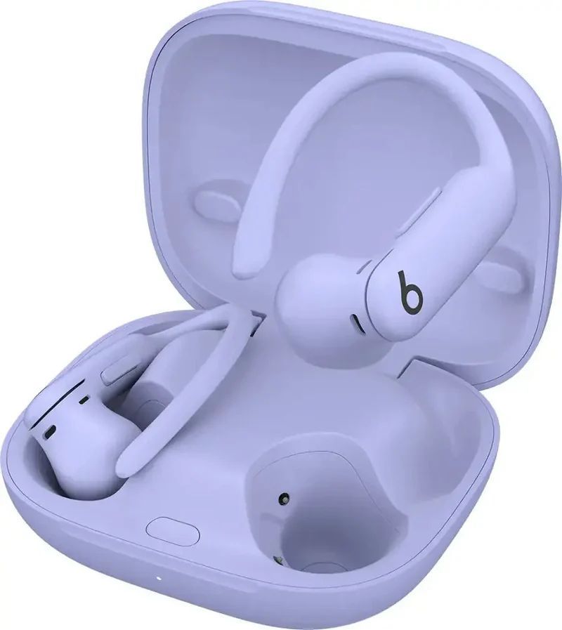 Refurbished Beats by Dre Powerbeats Pro 2 True Wireless Active Noise Canceling Earbuds - Reebelo US