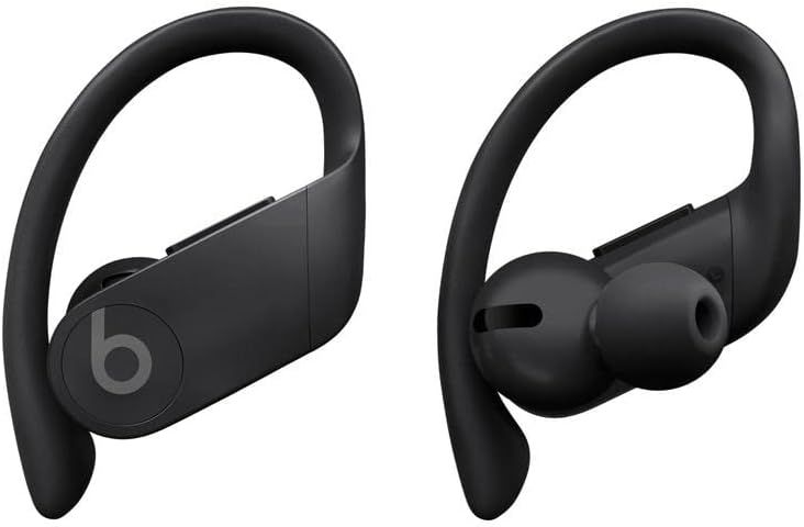 Beats by Dre Powerbeats Pro True Wireless High-Performance Earbuds - Black/Gray