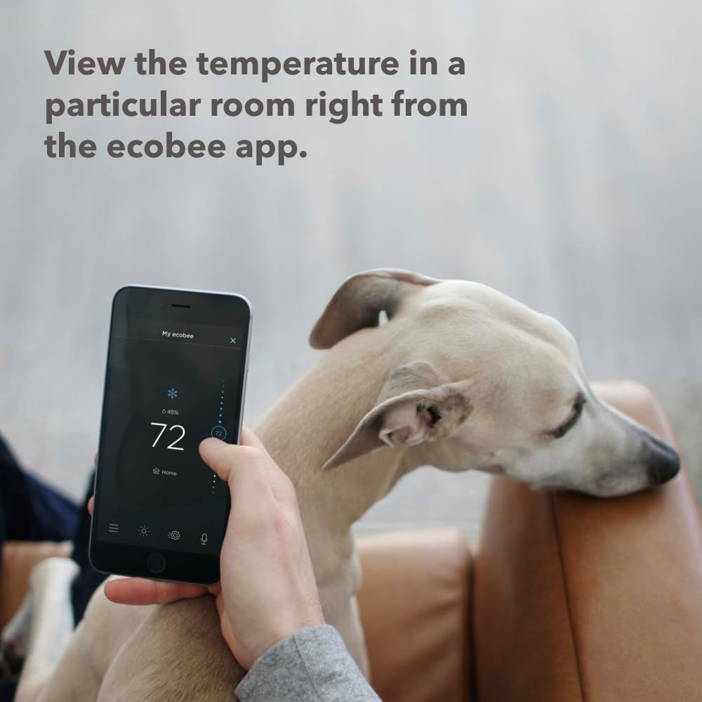 Refurbished Ecobee SmartSensors for Indoor (2 Pack) - Reebelo US