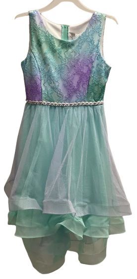 Emily Rose Girl's Dress 10 - Reebelo US