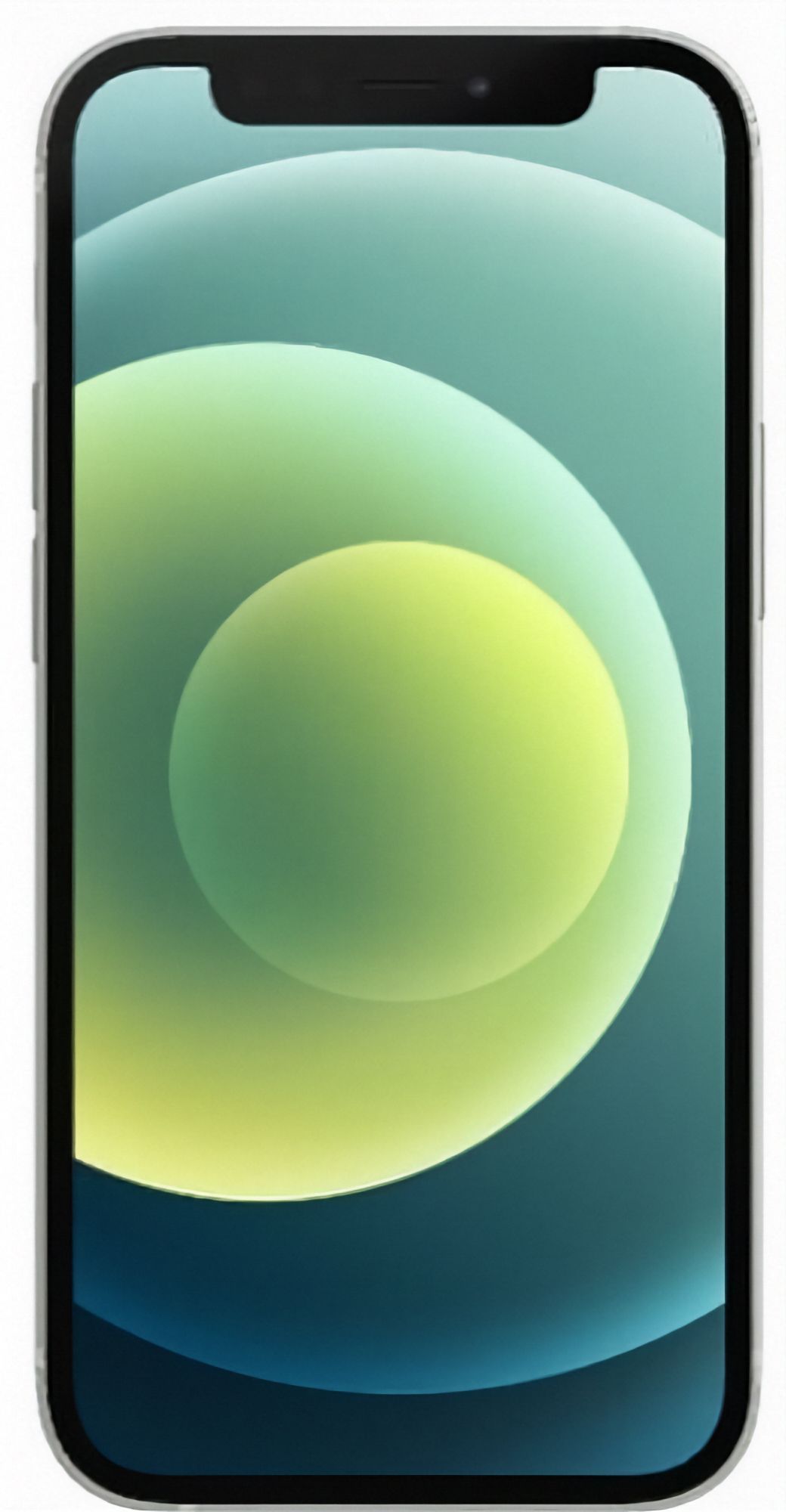 Refurbished iPhone 12 - Reebelo US