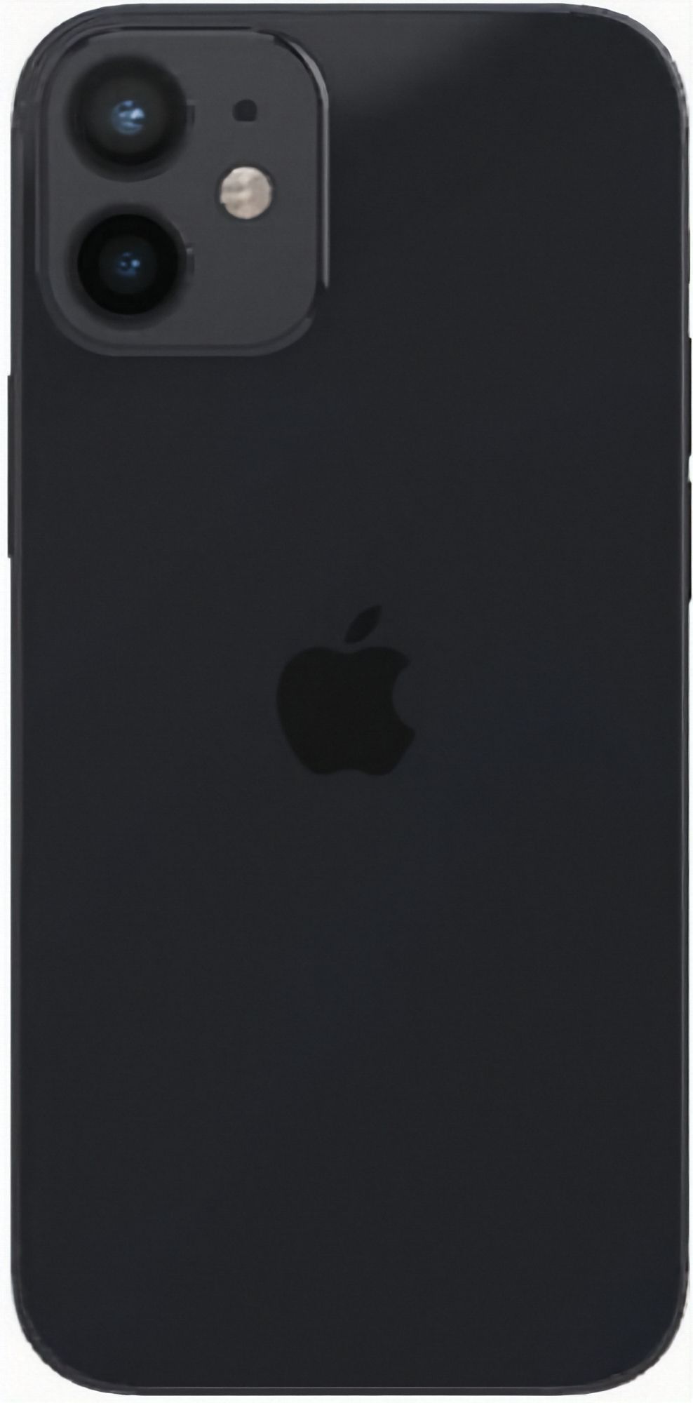 Refurbished iPhone 12 mini - Reebelo US