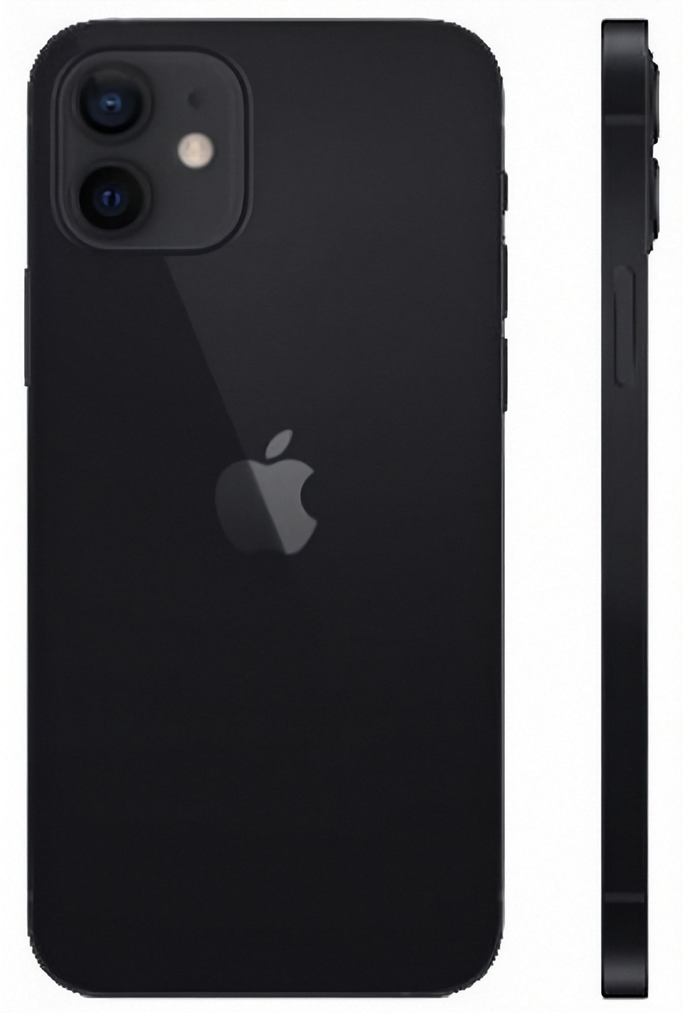 Refurbished iPhone 12 mini - Reebelo US
