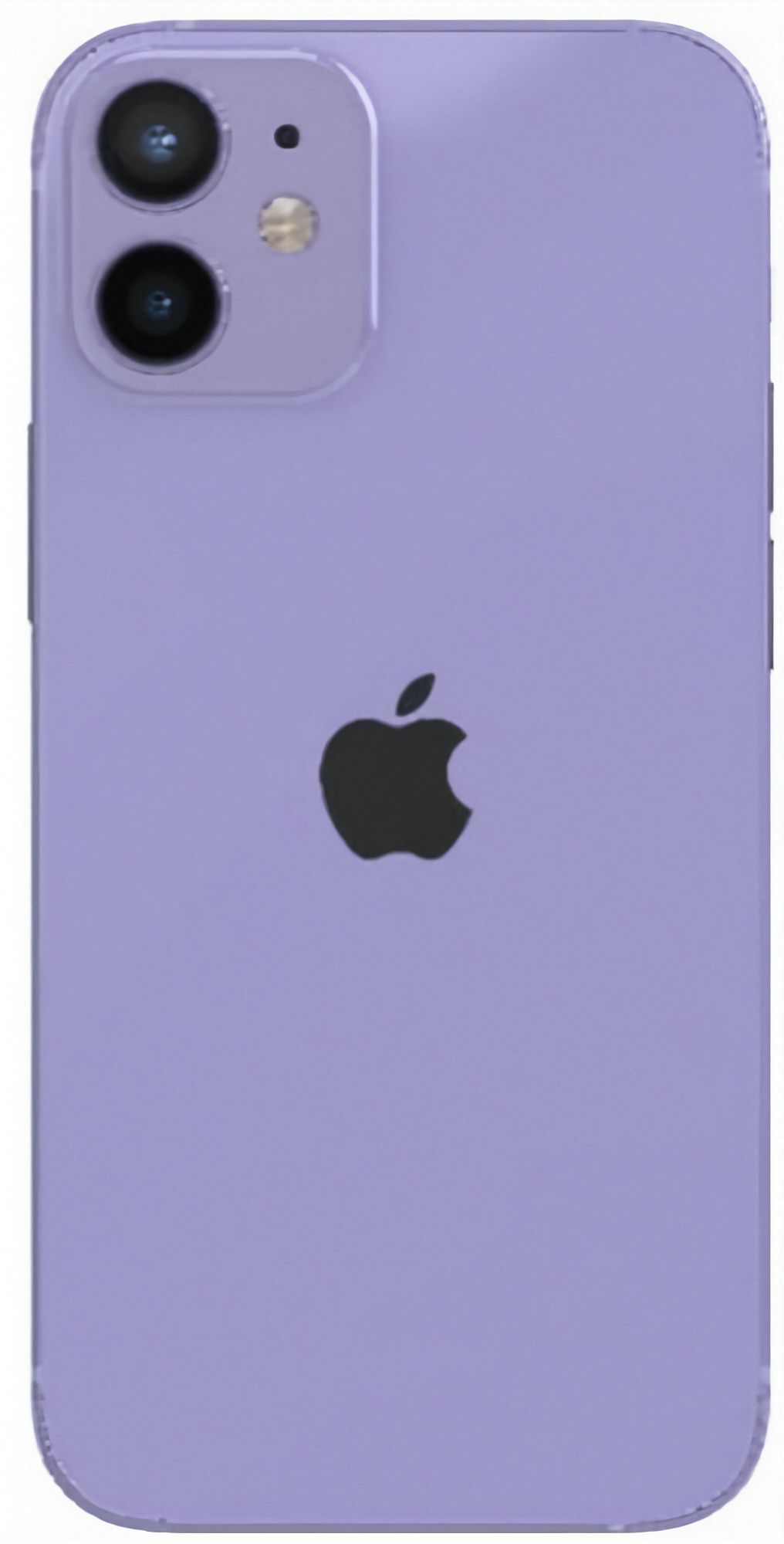 Refurbished iPhone 12 mini - Reebelo US
