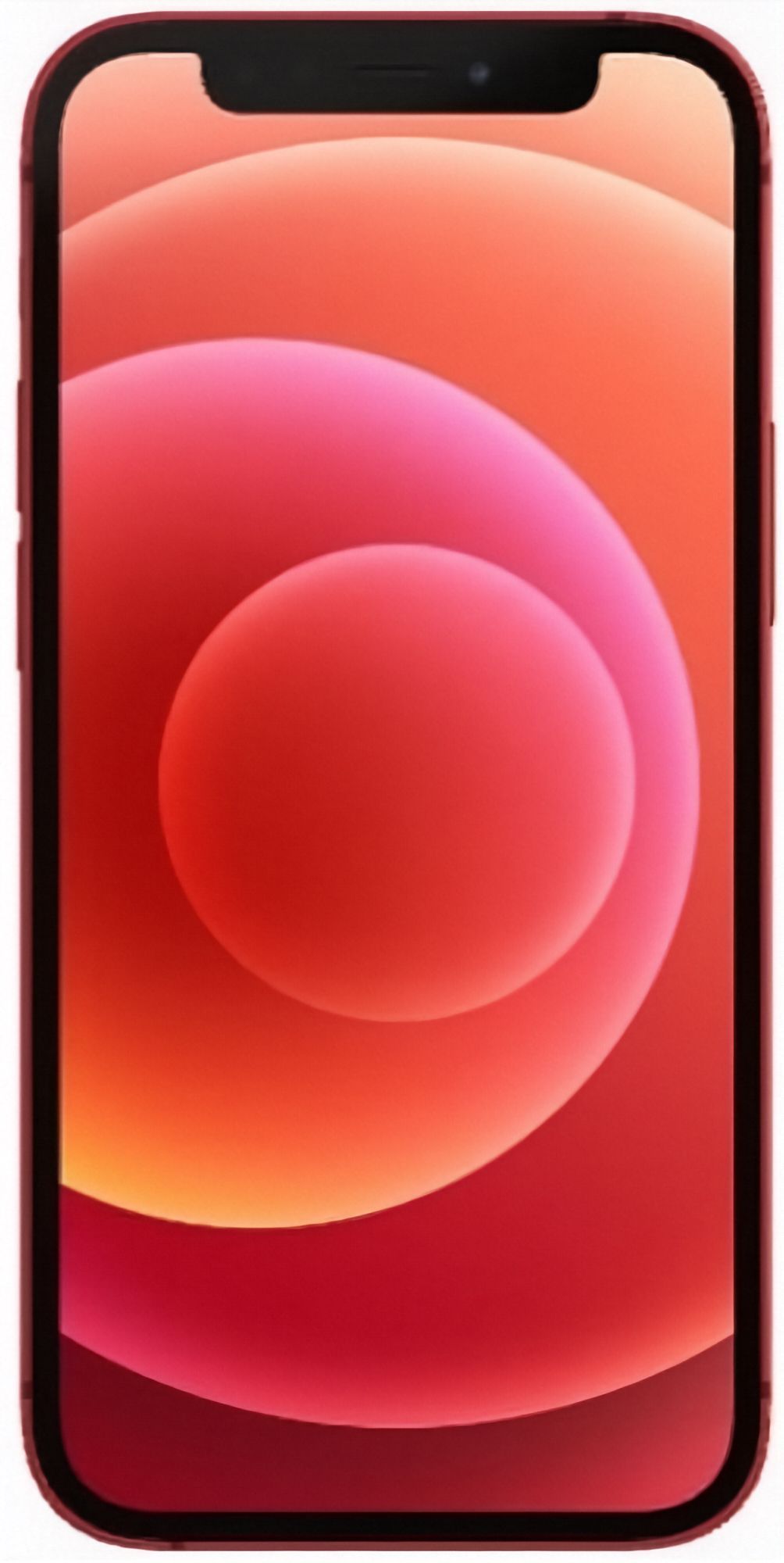 Refurbished iPhone 12 mini - Reebelo US