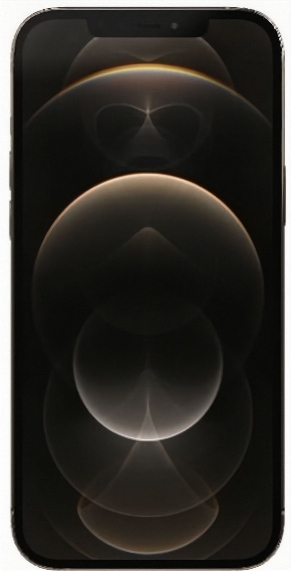 Refurbished iPhone 12 Pro Max - Reebelo US