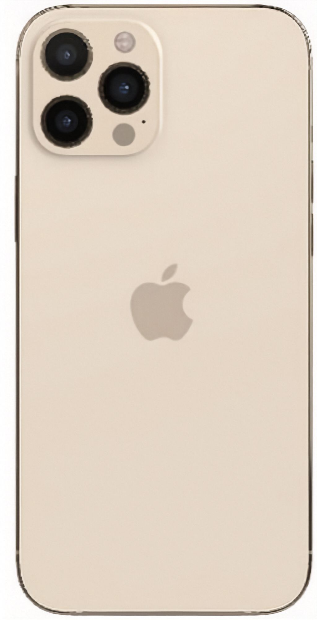 Refurbished iPhone 12 Pro Max - Reebelo US