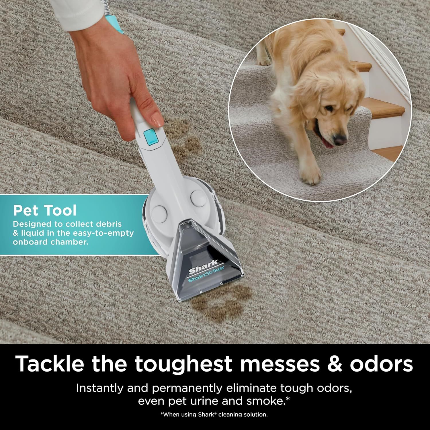 Refurbished Shark Stainstriker Portable Carpet And Upholstery Cleaner PX201 - Reebelo US