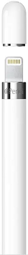 Refurbished Apple Pencil (1st Generation) with USB-C to Apple Pencil Adapter - Reebelo US