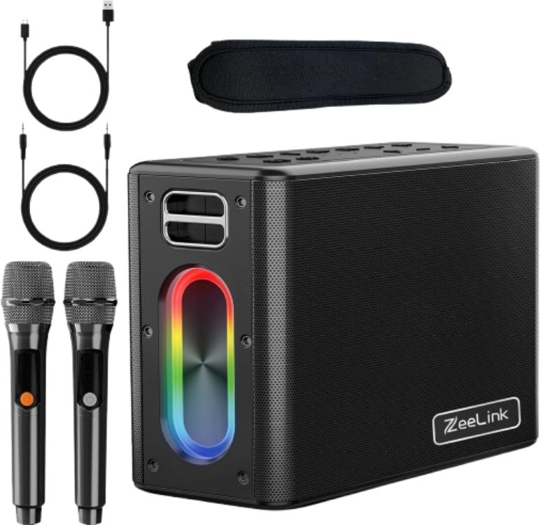 ZEELINK Karaoke Machine Two Wireless Microphones 150W Powerful