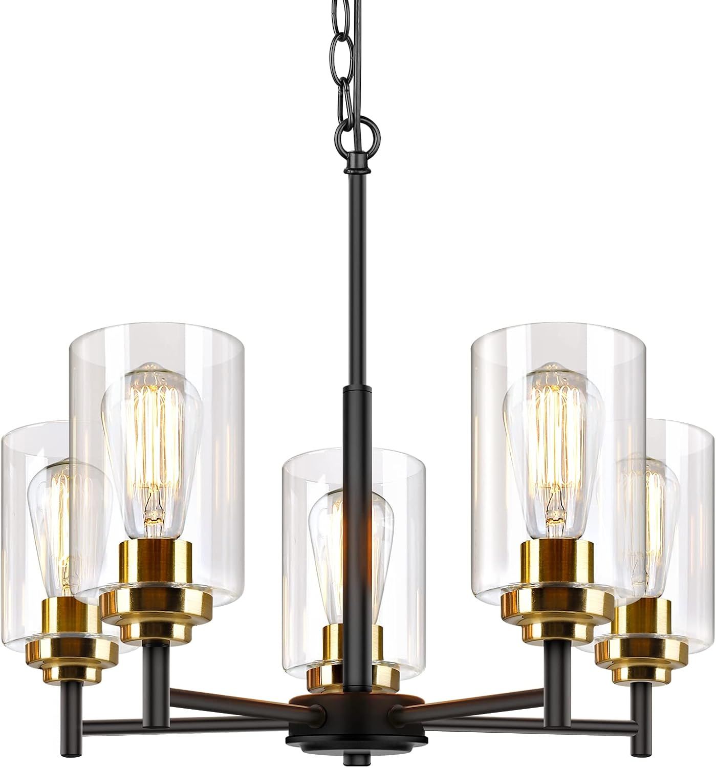 Sucolite 5-Light Chandelier with Clear Glass Shades 3358-P5